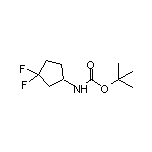 N-Boc-3,3-二氟環戊胺