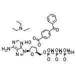 3'-O-(4-苯甲酰基)苯甲酰基腺苷 5'-三磷酸酯