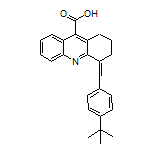 4-[4-(叔丁基)亞芐基]-1,2,3,4-四氫吖啶-9-甲酸